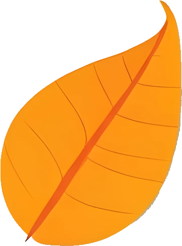 Downloadable Transparent Leaf PNG Image_1.webp